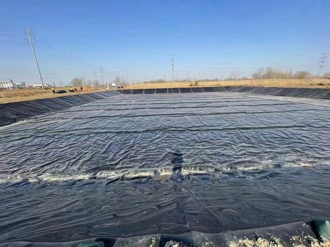 专业品质，卓越性能——北京三维土工复合排水网专业生产厂家