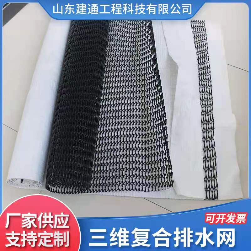 三维复合土工排水网 垃圾填埋场与路基挡墙的工程密码